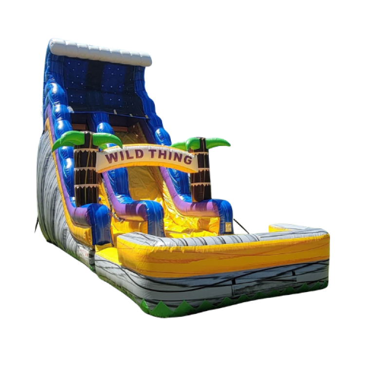 Wild Thing 20ft Water Slide